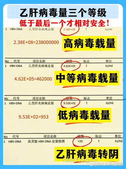 乙肝病毒载量有何意义？