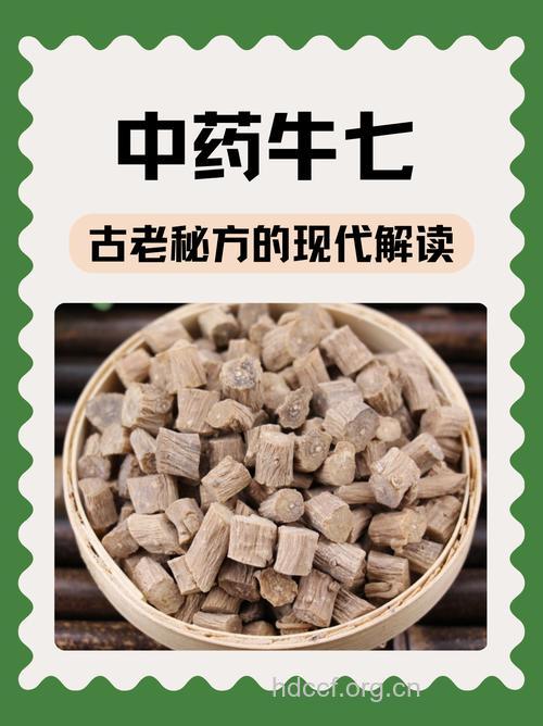 金牛七的功效与作用