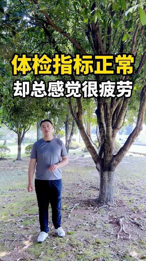 总感觉疲劳需要做哪些检查