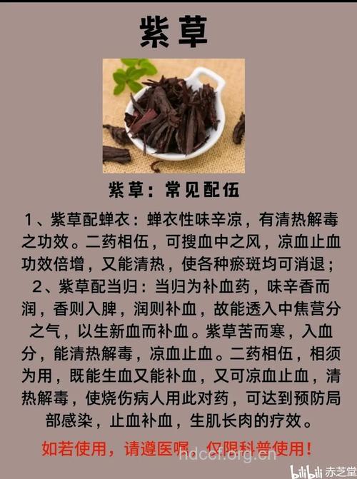 大紫草的功效与作用