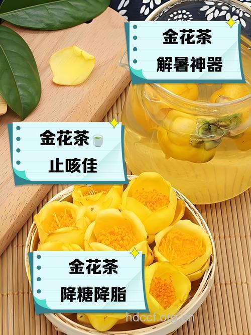 金花茶花的功效与作用