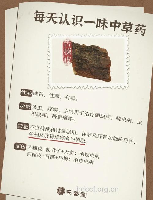 苦树皮的功效与作用
