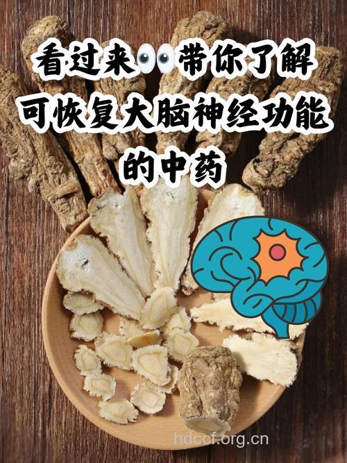 雉脑的功效与作用
