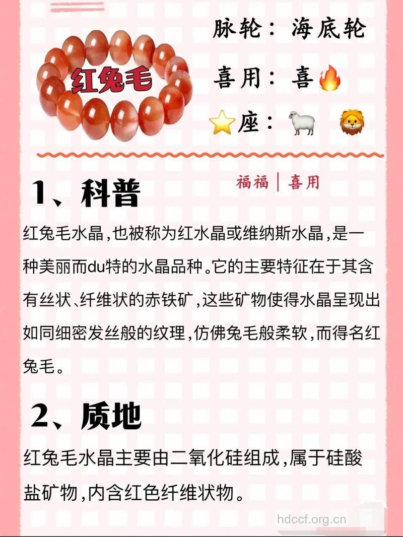 兔子毛的功效与作用