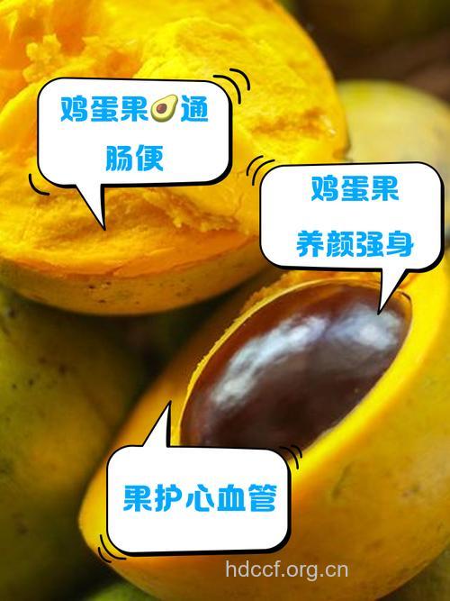 生的蛋黄果可以吃吗 最佳食用时间是成熟后