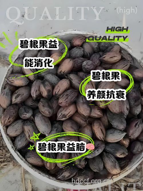 柠檬根的功效与作用