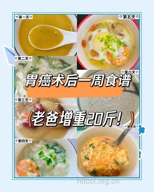 胃癌手术后,宜少食多餐