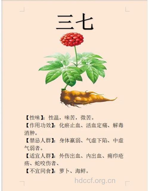 牌楼七的功效与作用