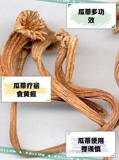 丝瓜蒂的功效与作用