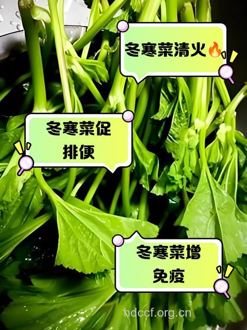 冬季皮肤干燥怎么办 三种常见蔬菜能解决