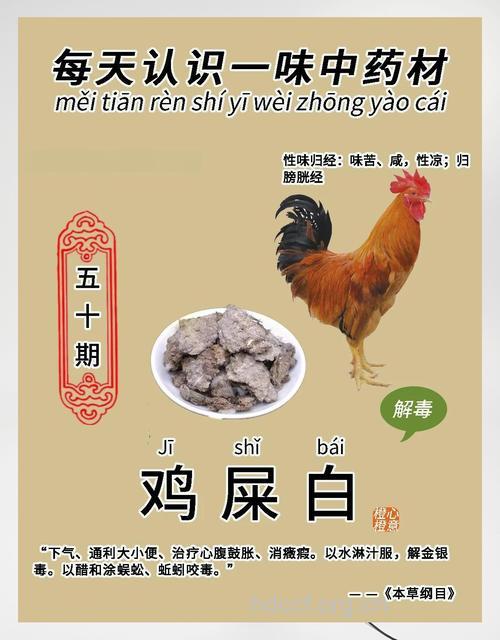 鸡屎白的功效与作用