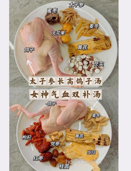 冬季进补鸽子是首选 鸽子的营养价值