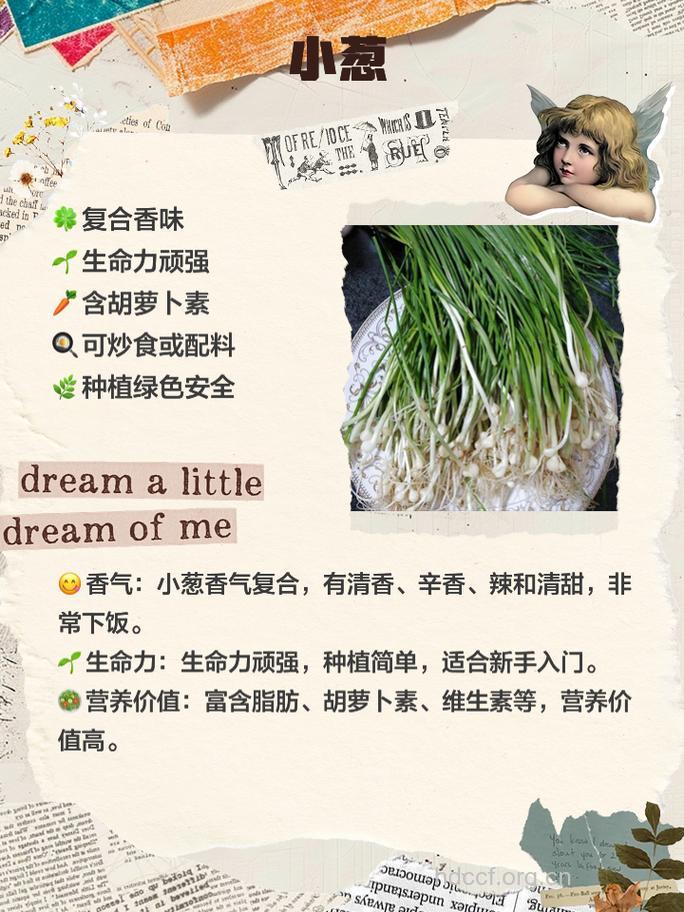 食用葱蒜可以防胃癌吗