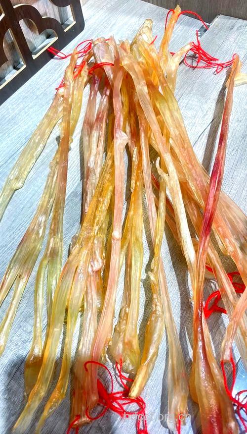 牛筋条的功效与作用