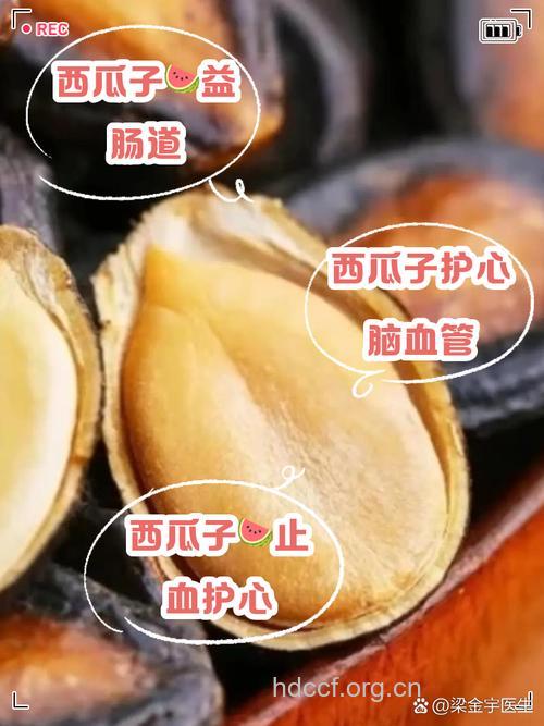 西瓜子仁的功效与作用