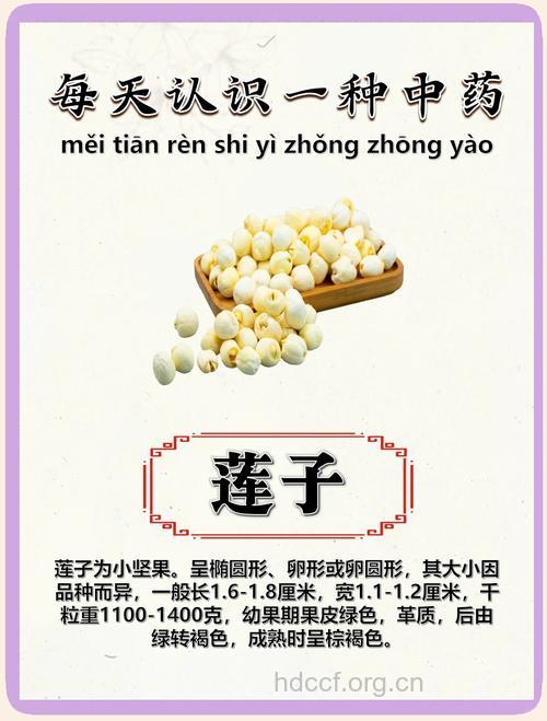 蒴莲的功效与作用