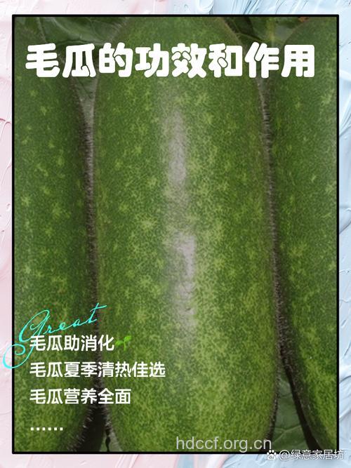 毛冬瓜的功效与作用