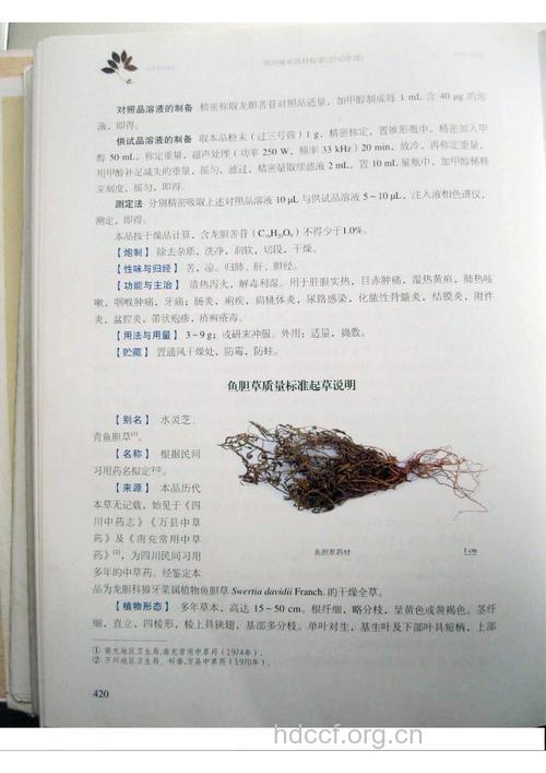 鱼胆草的功效与作用