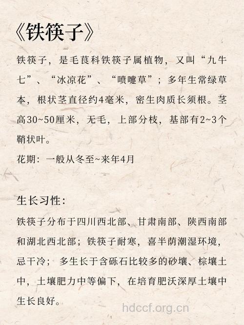 铁筷子的功效与作用