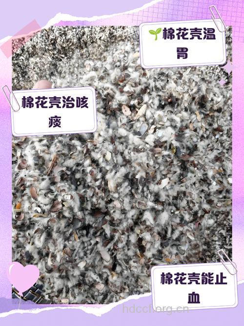 棉花壳的功效与作用
