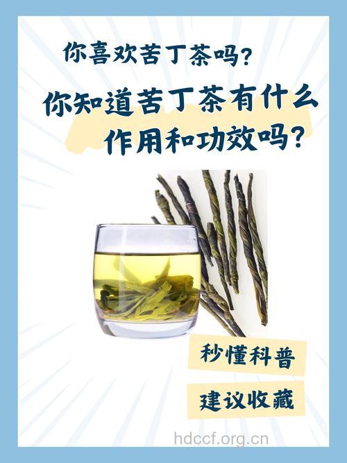 苦丁的功效与作用