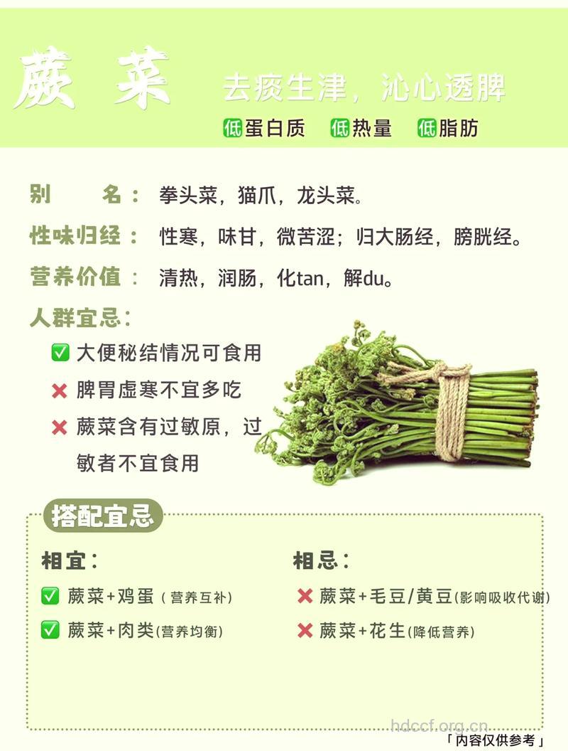 什么是蕨菜?蕨菜有什么功效与作用