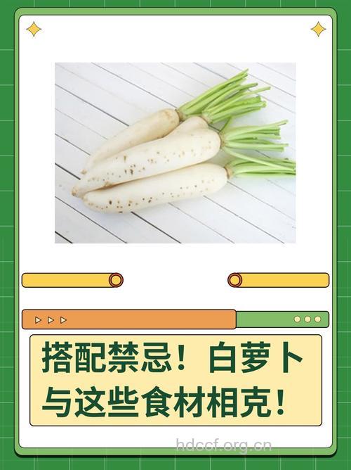 冬季吃白萝卜不宜与胡萝卜同食