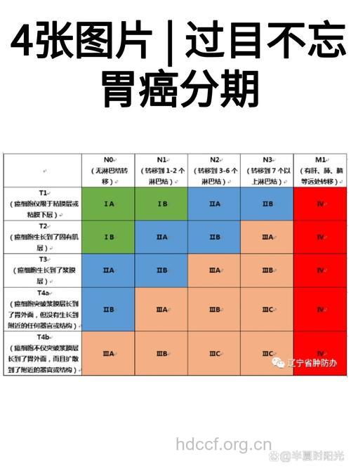 胃癌的分类及相关介绍