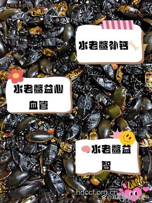 水鳖的功效与作用