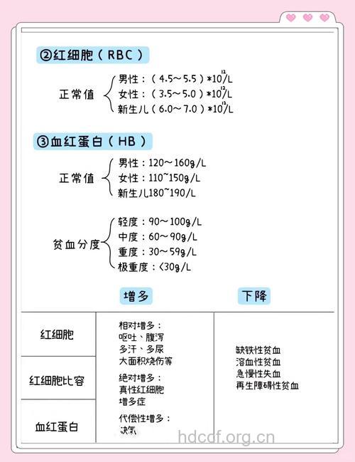 缺铁性贫血患者需要做哪些体检
