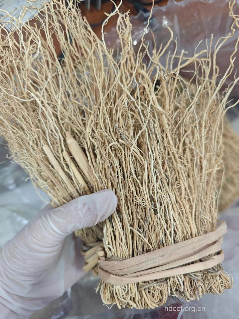 龙常草的功效与作用