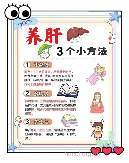 养肝护肝要注意哪些原则