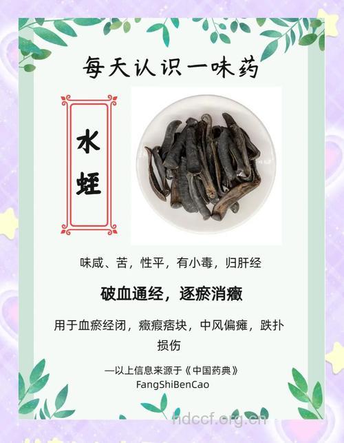 水黾的功效与作用
