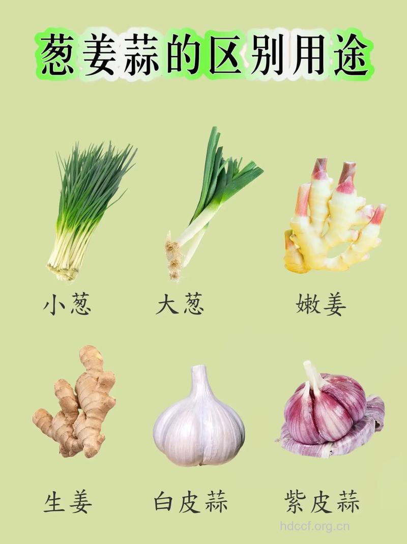 葱和蒜的功效与作用
