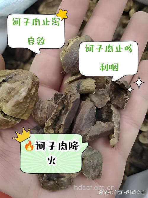 毛诃子的功效与作用