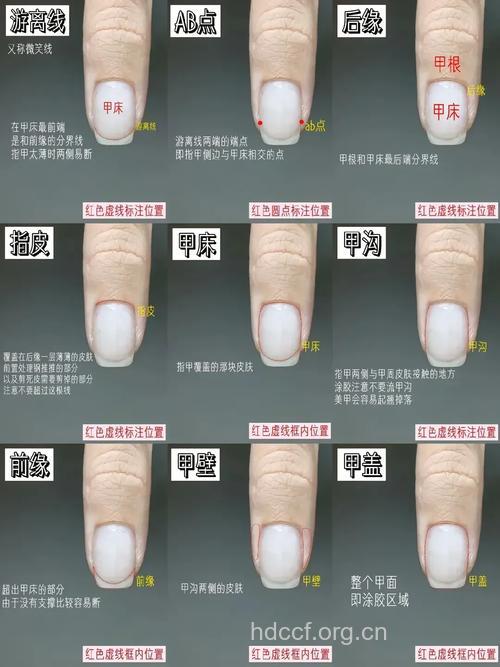 你的指甲是否健康呢?