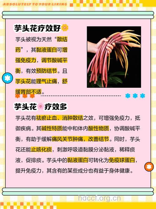 芋头花的功效与作用