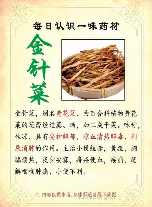 金针菜的功效与作用