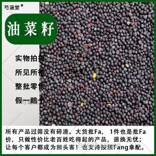 芸薹子油的功效与作用