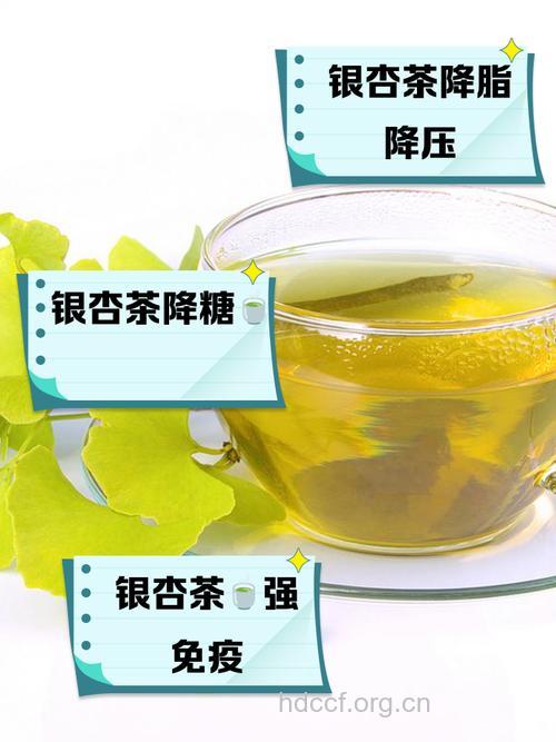银杏降压茶的做法 细数银杏泡水喝的好处