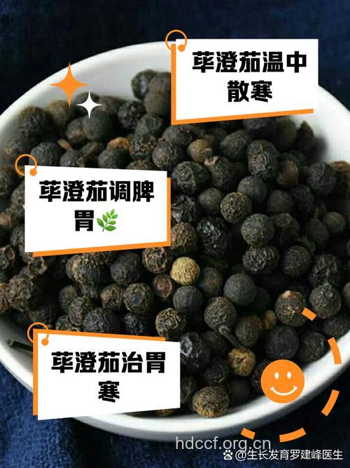 四川澄茄子的功效与作用