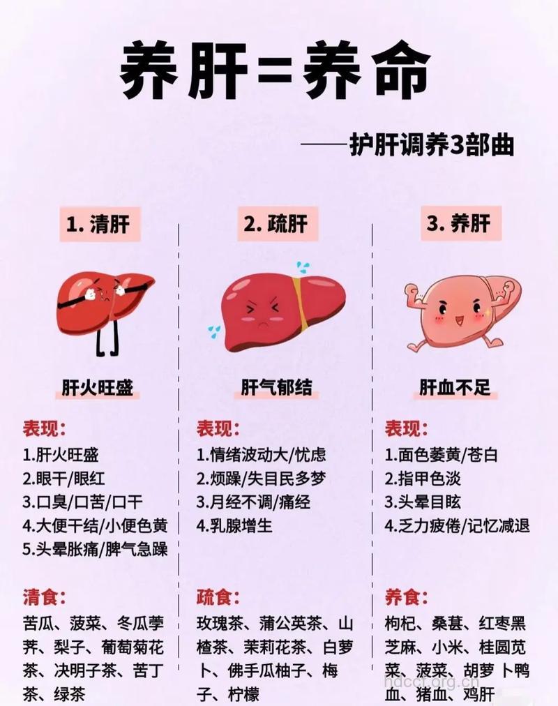 减少肝病的危害要如何养肝