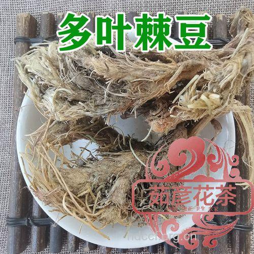 鸡翎草的功效与作用