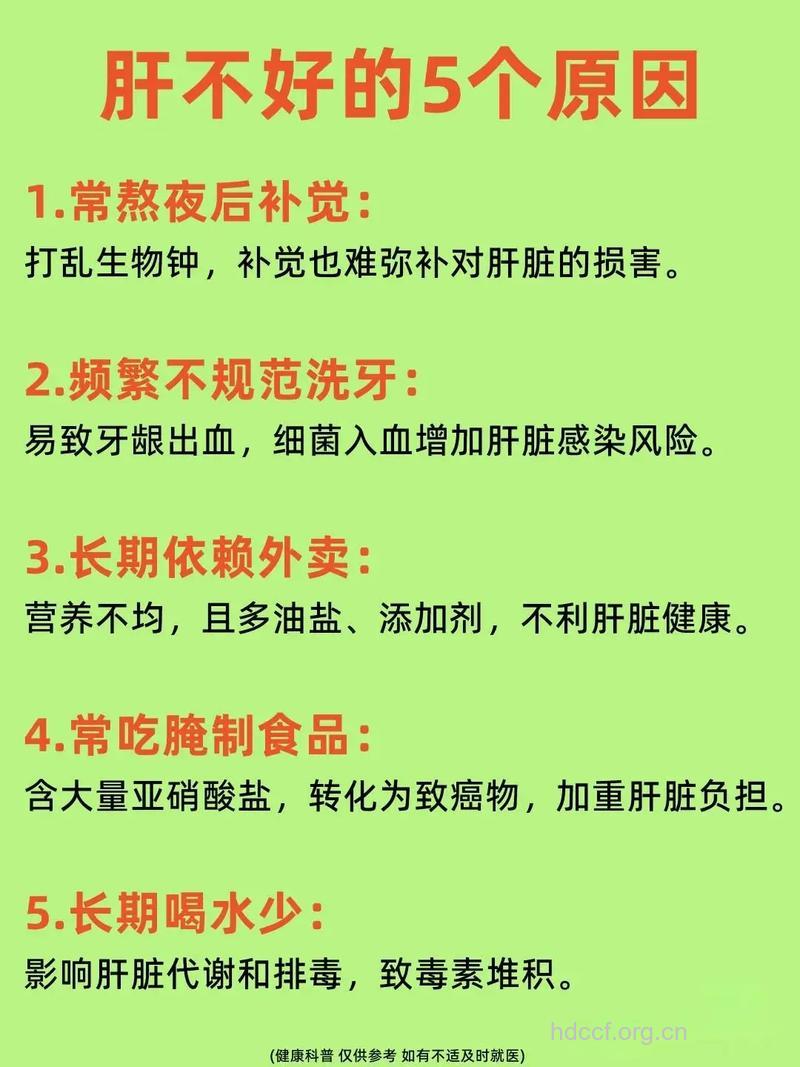 肝功能不好的人要怎么调养