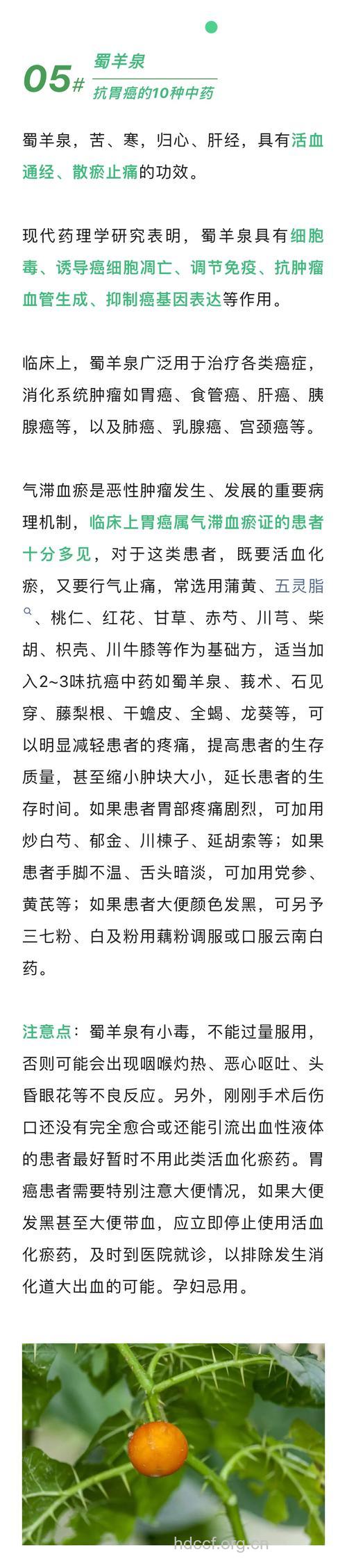 中药治疗胃癌的几点好处