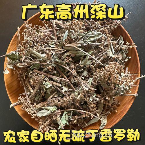毛叶西香罗勒的功效与作用