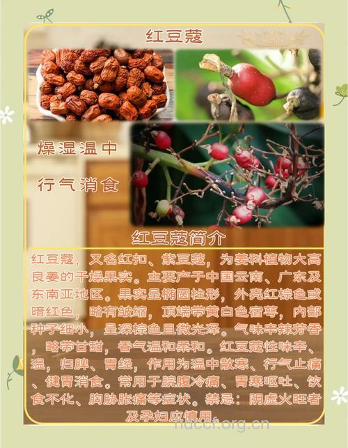 云南红豆蔻的功效与作用