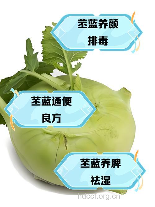 苤蓝叶的功效与作用