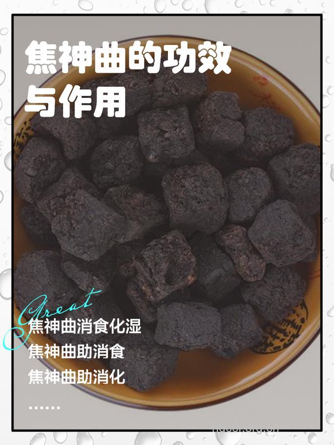 神曲泡酒喝的禁忌