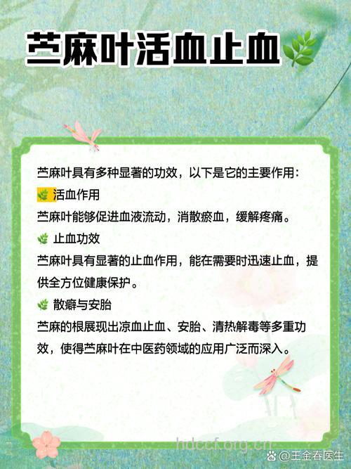 苎麻叶的功效与作用